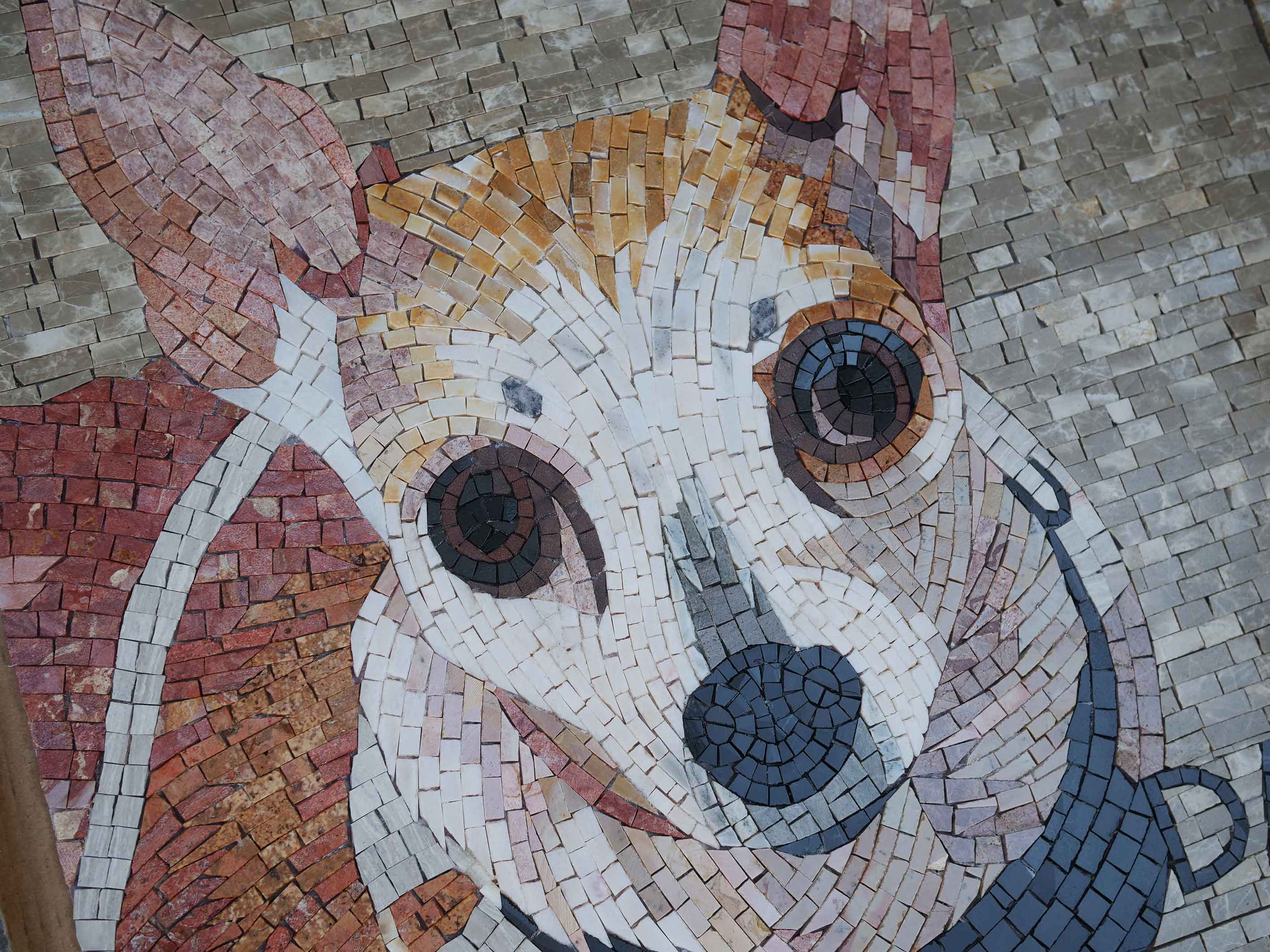 Daisy Chihuahua Dog - Marble Buy Mosaic Art Mural - Mesh Backing - Image 2