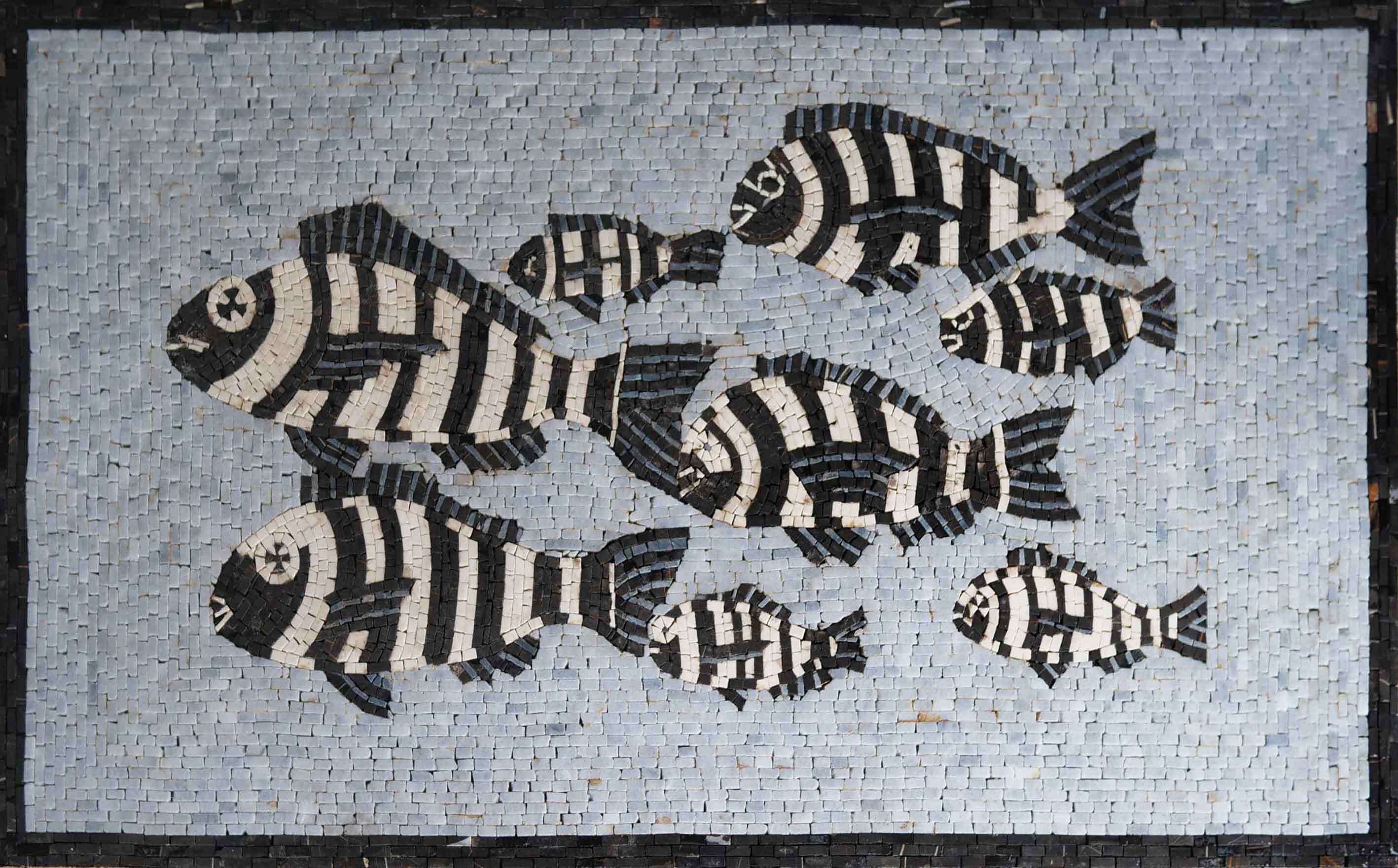 Zebra Fish Pattern - Interior Design Mosaic Art - Mesh Backing
