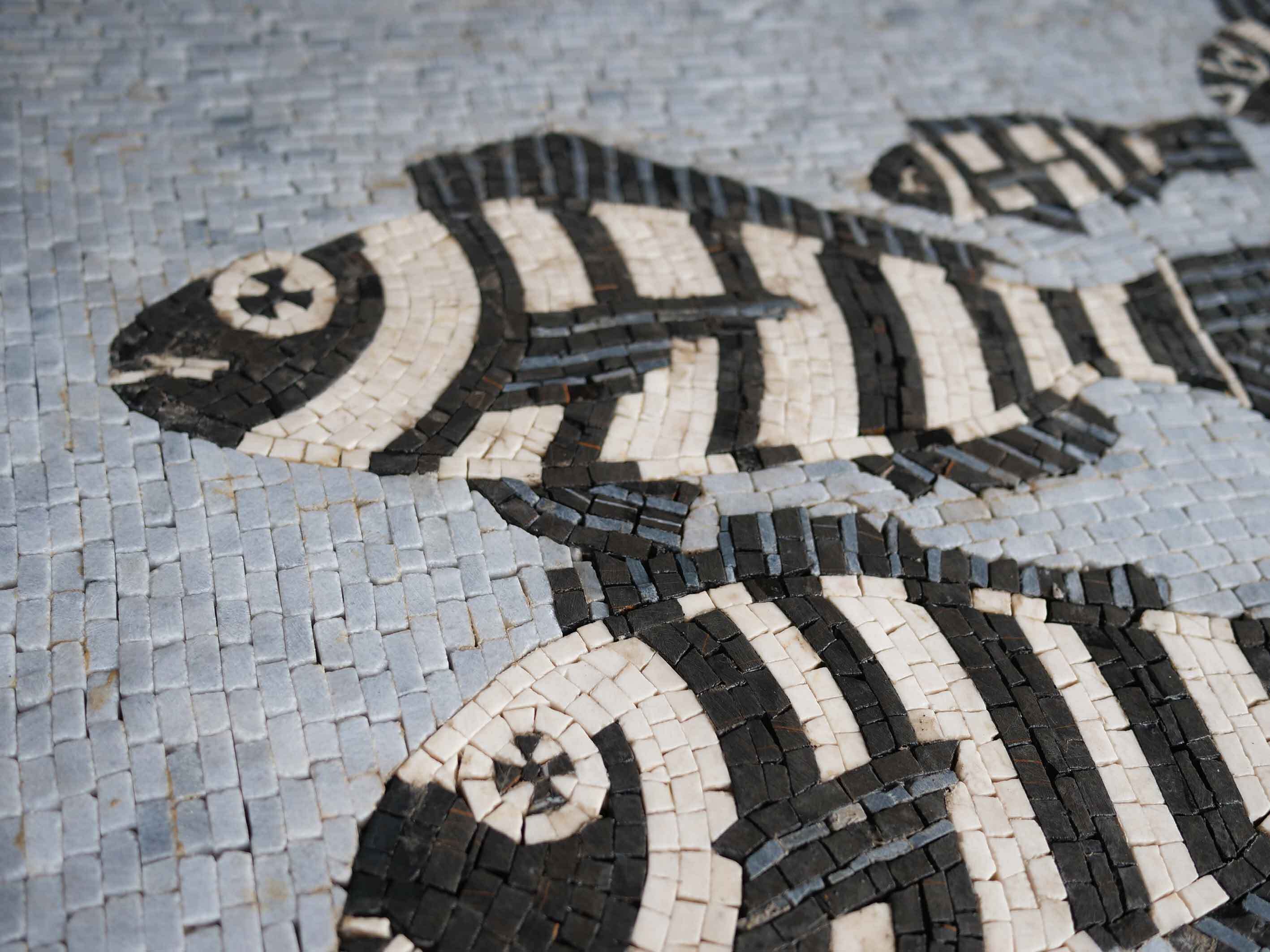 Zebra Fish Pattern - Interior Design Mosaic Art - Mesh Backing - Image 2
