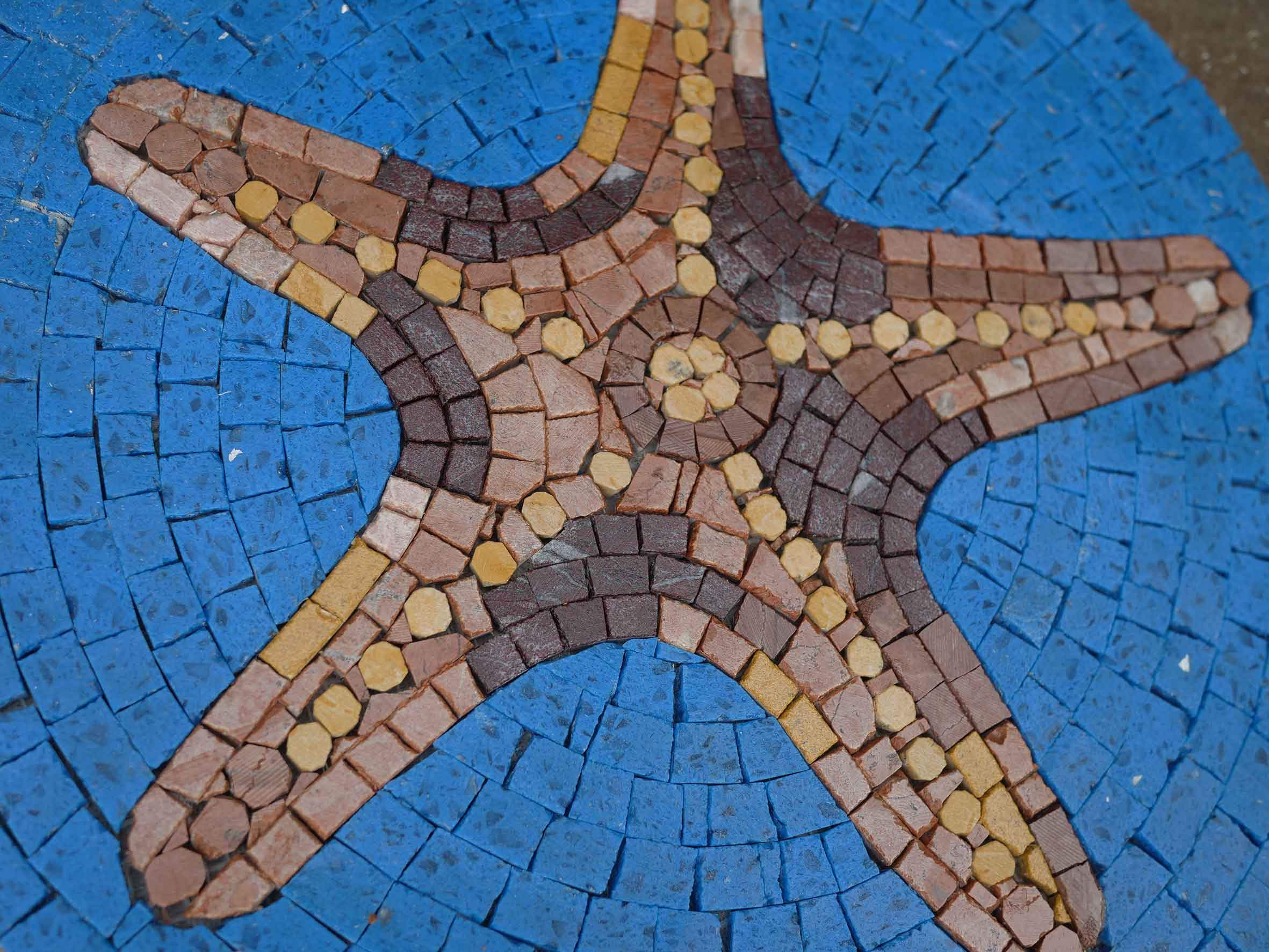 Starfish Geometric - Mosaic Tile Patterns Art - Mesh Backing - Image 2